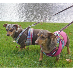 step easy plaid harness with coordinating sweater